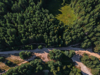Road in the forest from the height of summer