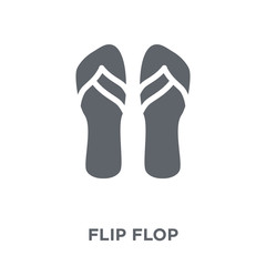 Flip flop icon from  collection.