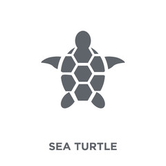 Fototapeta premium Sea turtle icon from Summer collection.