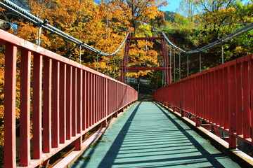 北海道、札幌定山渓温泉の紅葉の風景