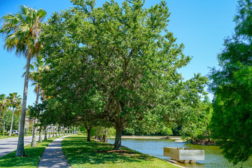 gardens