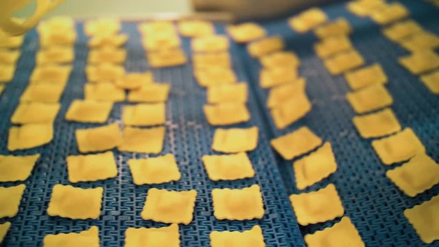 many types of high quality pasta been produced at a large modern pasta factory.
