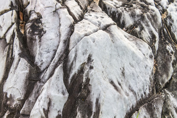 White marble There are black bars sticking. The surface is rough.