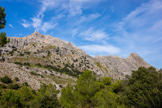 Mallorca, Urlaub, Kakteen, Natur, Wandern