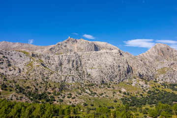 Mallorca, Urlaub, Kakteen, Natur, Wandern