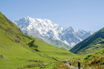 Fototapeta na wymiar Glacier Shkhara and the Inguri River Valley, Svaneti