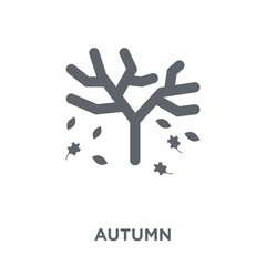 Autumn icon from  collection.