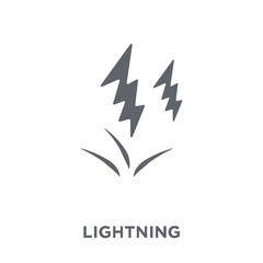Lightning icon from  collection.