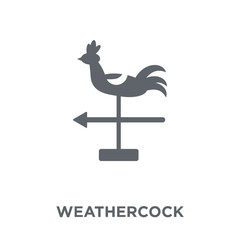 Weathercock icon from  collection.
