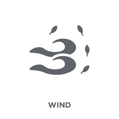 Wind icon from  collection.