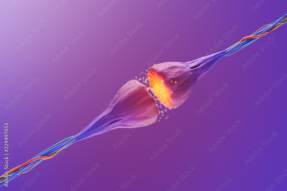 Poster synapse between two neurons connections. signal transmissions in human brain. 3d rendering