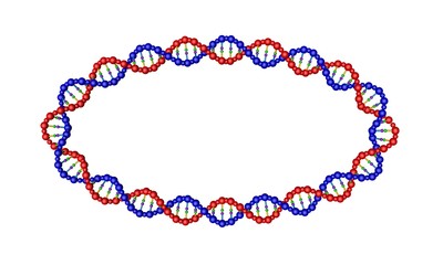 DNA strand in form of oval. 3D rendering illustration.