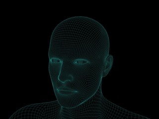 Wireframe human head. Isolated on black background. 3D rendering illustration