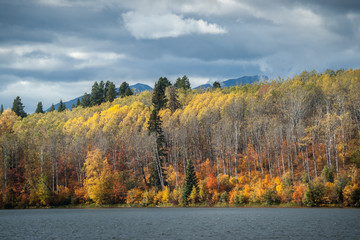 October Lake Shore in Northern Canada