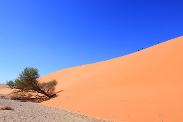 Namib Naukluft national Park / Namib Naukluft national Park, famous for the world's largest red sand dunes