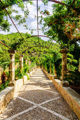 Naklejka premium Botanische Garten Weg Jardi Botanic de Soller Allee