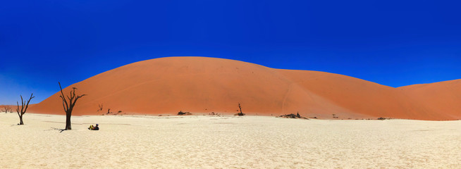 Namib Naukluft national Park / world's largest red sand dunes Namib Naukluft national Park