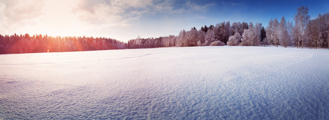 Beautiful tree in winter landscape in late evening in snowfall