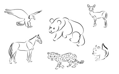 Vector illustration set of black and white animals