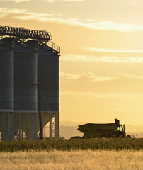 Australian grain silos at dawn