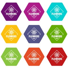 Obraz premium Flower plant icons 9 set coloful isolated on white for web
