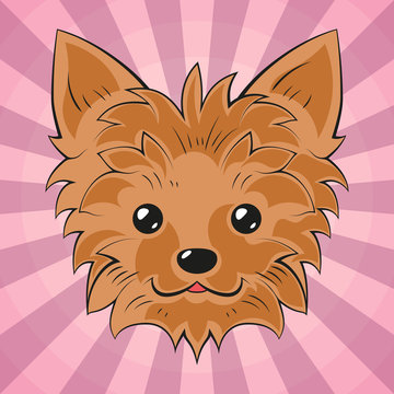 Yorkshire terrier face. Dog head. yorkshire terrier portrait. Dog breed. Vector illustration