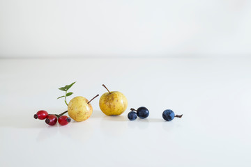 Two Wild apples, blackthorns and rose hip.