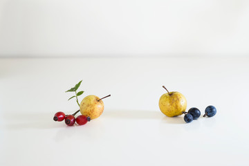 Two Wild apples, blackthorns and rose hip.