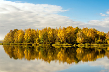 Autumn landscape-the forest on the shore of lake