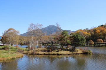 Fototapeta premium 白樺湖の秋景色