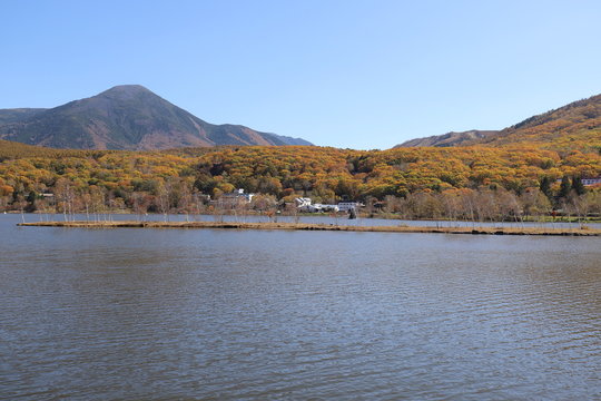 白樺湖の秋景色