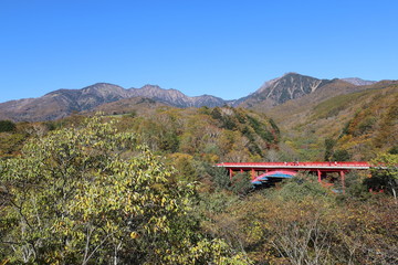 秋の東沢大橋