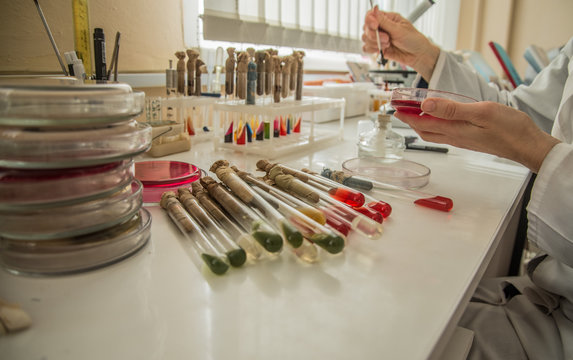 Doctor's work in the laboratory