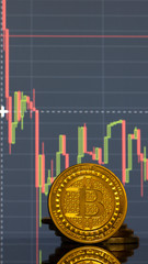 Bitcoin coin on the background graphics close-up