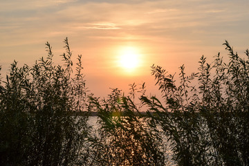 Obraz premium Sunrise. Sunrise on the river. Morning on the river