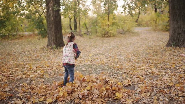 Little Girl rakes yellow leaves into a big pile with the help of a rake