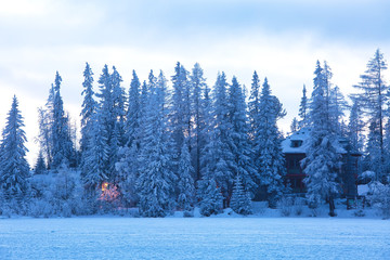 House hiding among fir-trees in snow, beautiful outdoor winter scene. Shores of Strbske pleso in High Tatras, popular travel destination in Slovakia