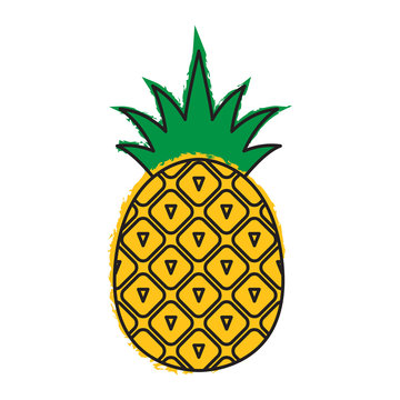 Pineapple icon. Tropical fruit