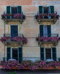 vintage building with balconies covered with beautiful pink flowers,Como.Italy