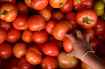 close up of red tomatoes for background