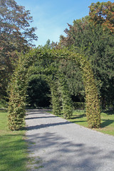 floraler Tunnel