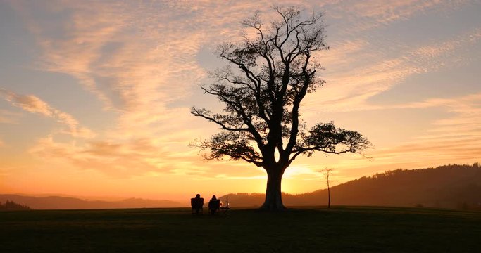Sunset on the top in Velká Lhota old lone tree underneath which sits a loving couple watching the sunset down the hill