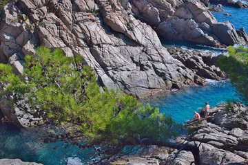 People on the rock among the green pine trees and the sea in the background.
