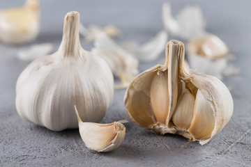 Garlic heads close-up on grey background. Condiment.
