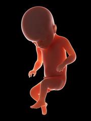 3d rendered medically accurate illustration of a fetus - week 22