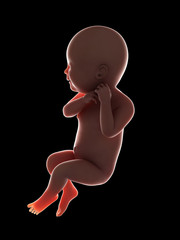 3d rendered medically accurate illustration of a fetus - week 39