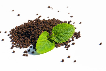 Black dry tea brew with green leaf isolated on white background