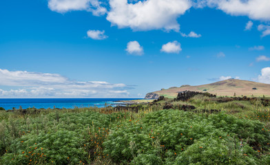Fototapeta na wymiar Panorama verso il sito di Te Pito Kura