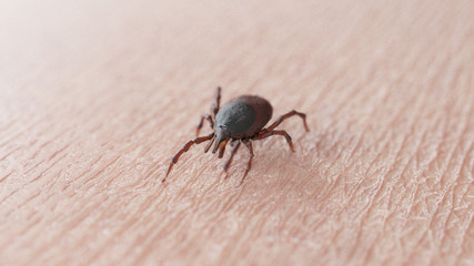 3d rendered illustration of a tick on skin