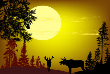 moose silhouettes in brown fir forest